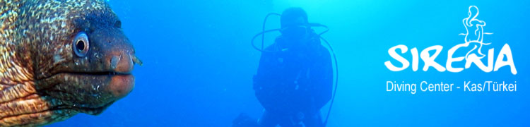 scuba diving in turkey with SIRENA Diving Kas: We offer professional services for all your